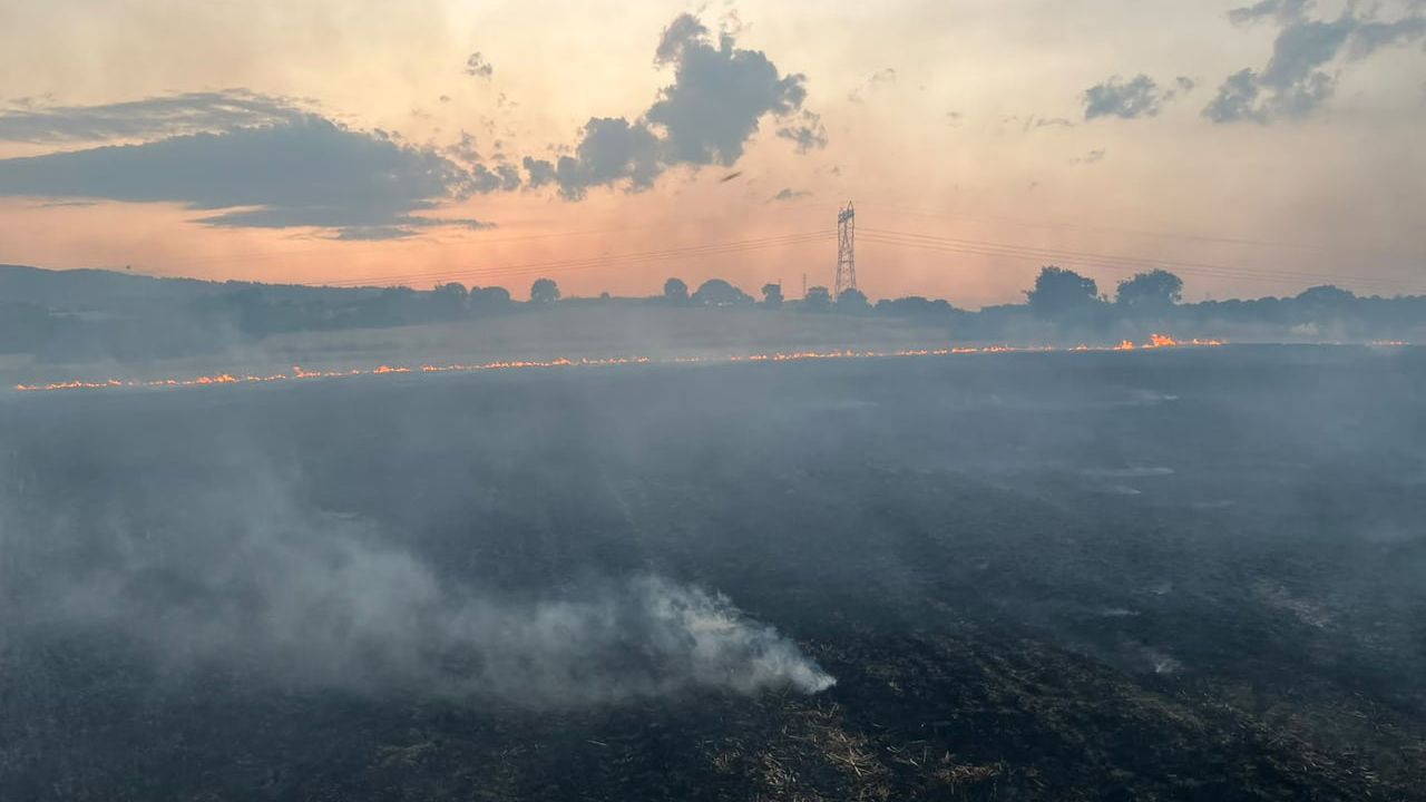Gönen'de 5 ayrı noktada çıkan yangınlarda iki kişi tutuklandı
