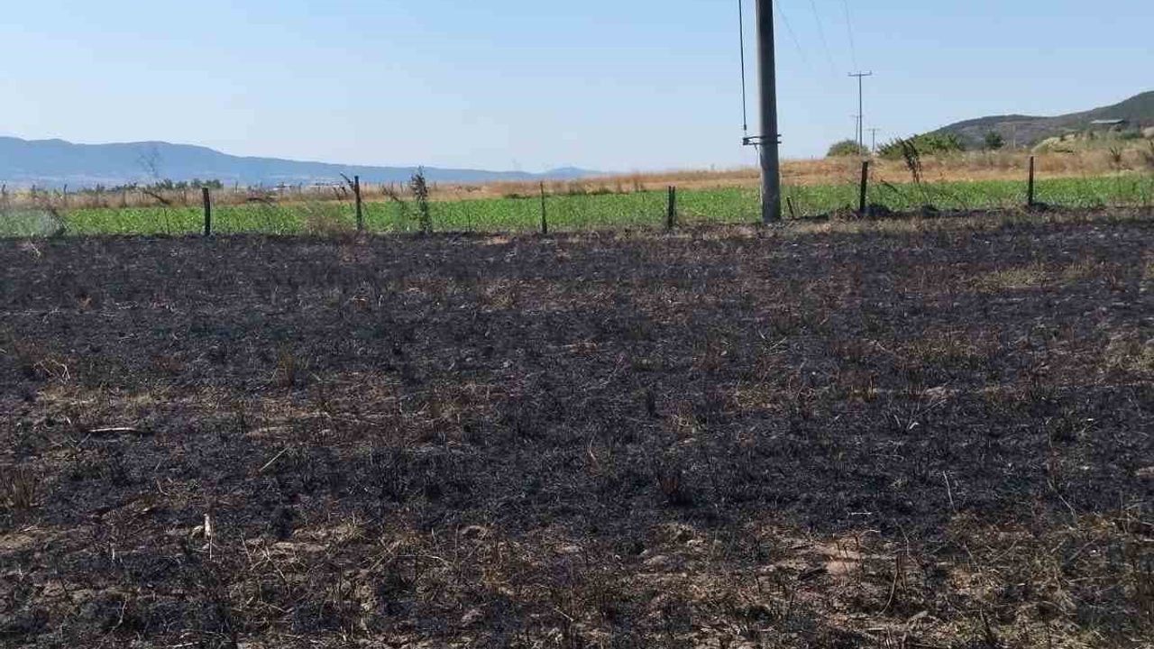 Gönen'de Tütüncü ve Turplu mahallelerindeki arazi yangınları söndürüldü