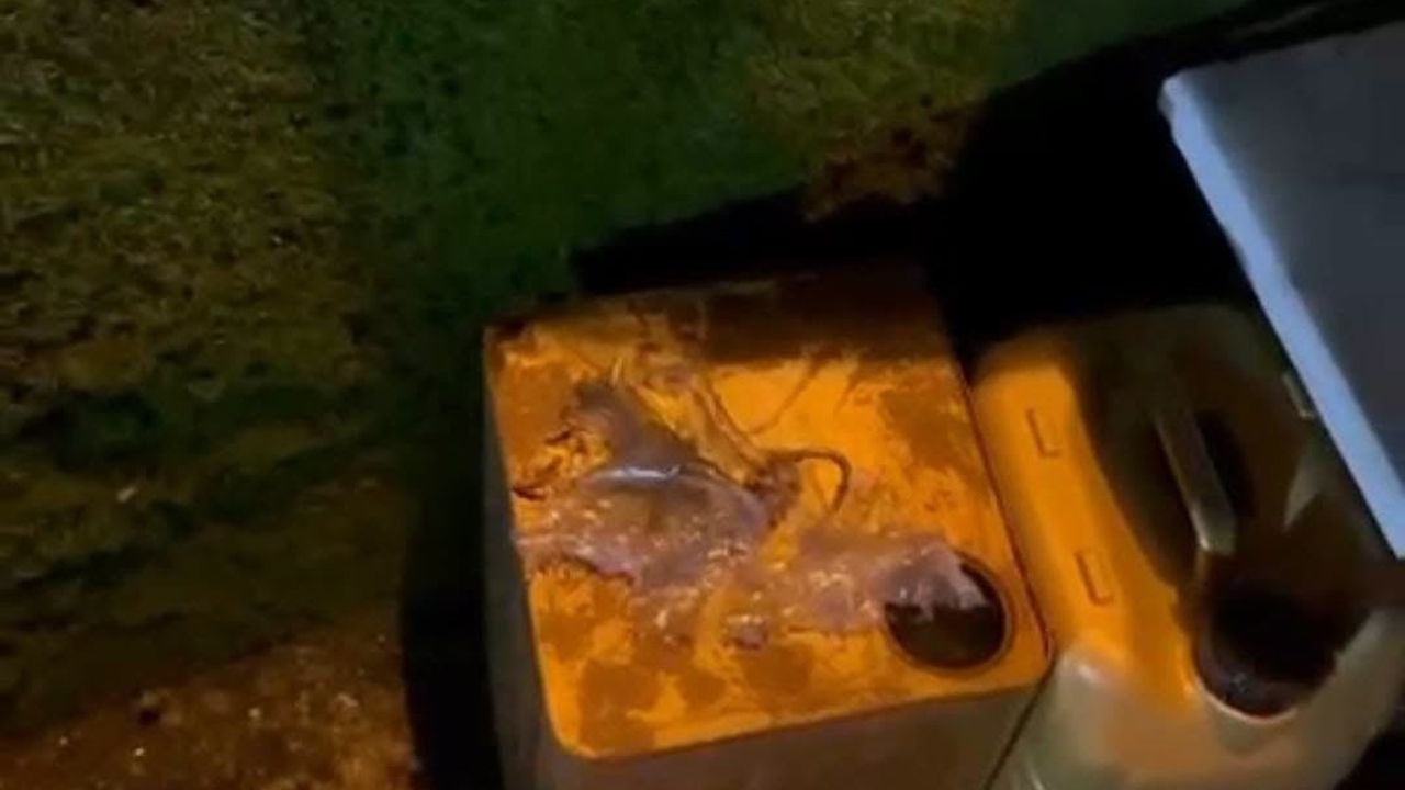 Görele'de duyulan patlama köy halkını tedirgin etti
