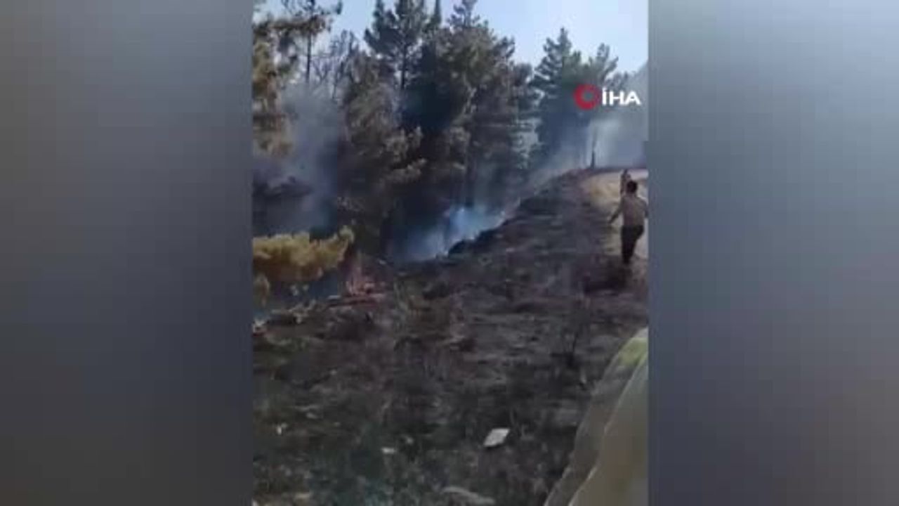 Gülnar'da ekiplerin hızlı müdahalesi orman yangınını kontrol altına aldı