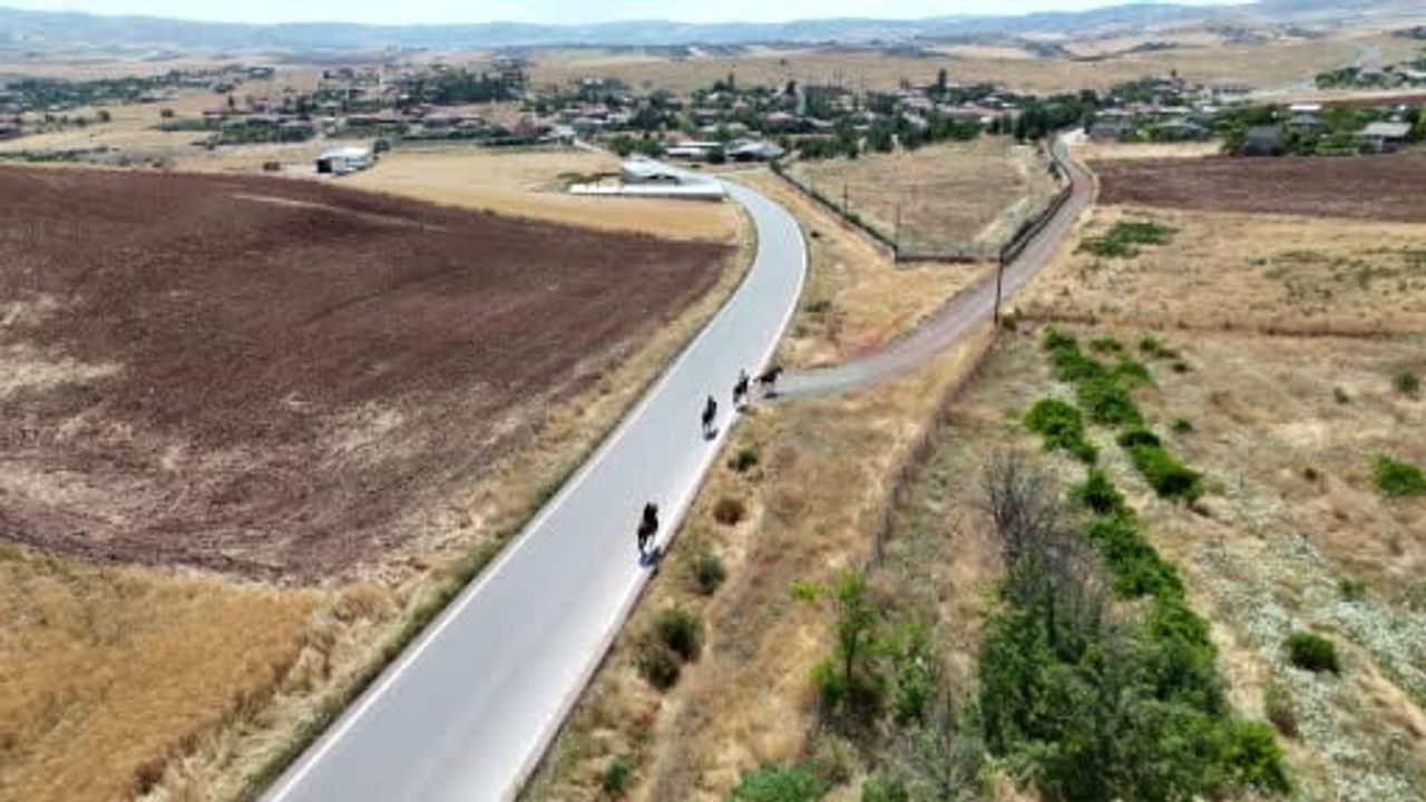 Hafta sonlarını doğada geçirmek isteyenlerin yeni adresi: at çiftlikleri
