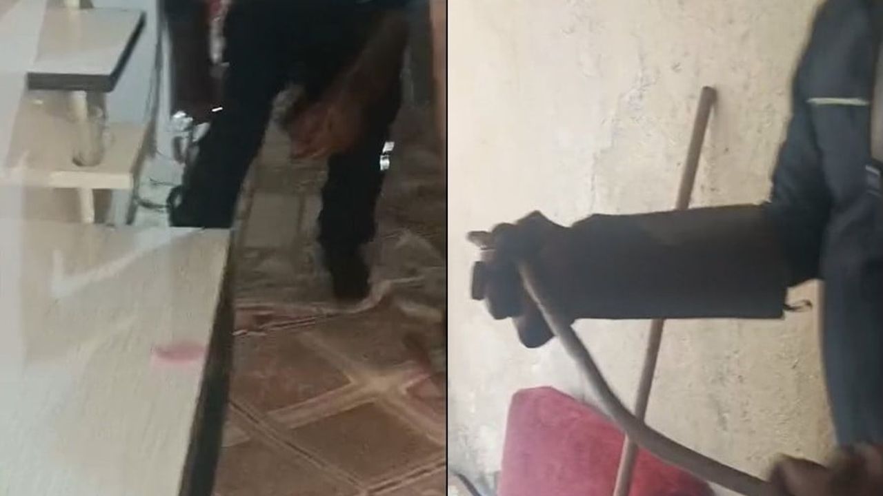 Hakkari'de eve giren yılan aileyi korkuttu