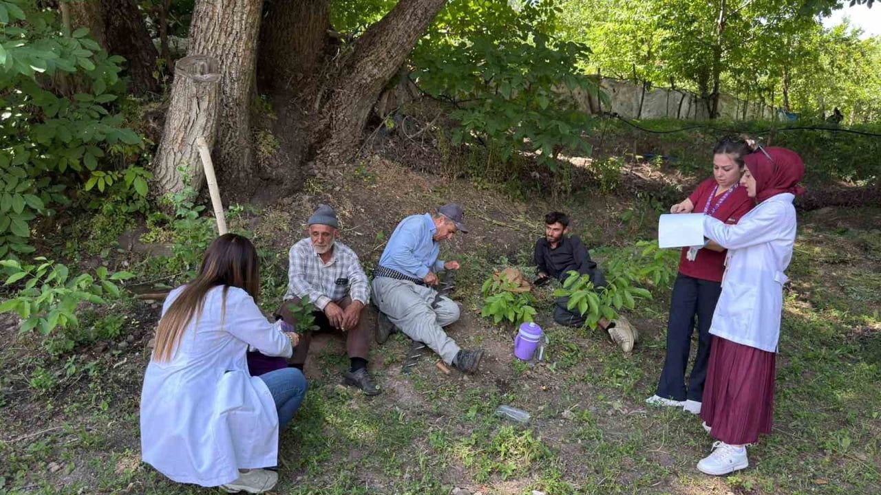 Hakkari'de kanser taraması