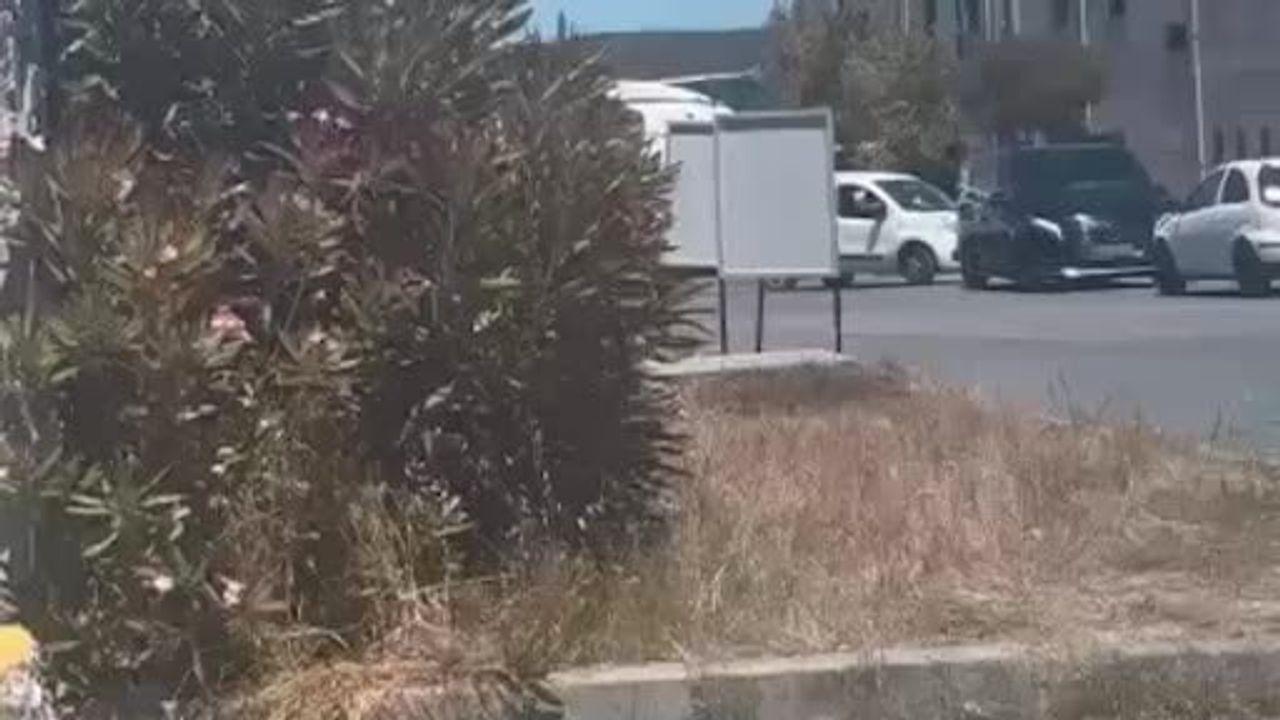Haluk Levent'in Bursa'da gözaltına alınmadan önceki görüntüleri ortaya çıktı