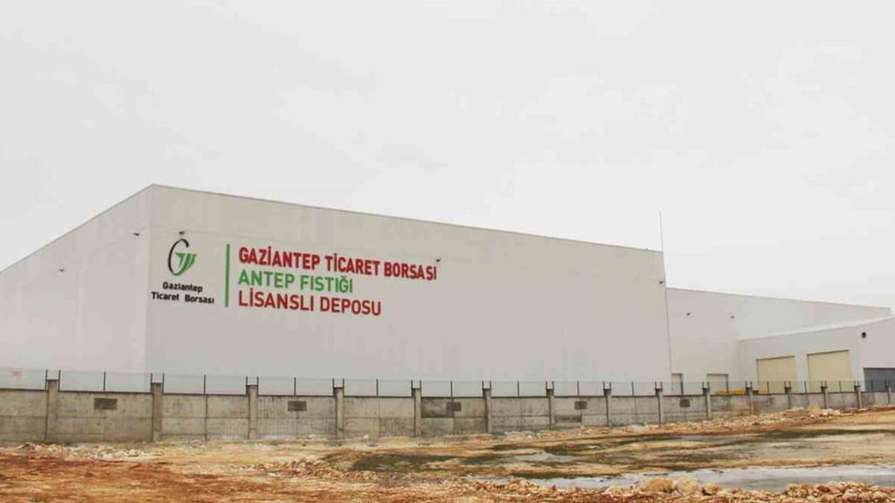 Hasat öncesi güvence: Antep fıstığı lisanslı depo üreticinin yanında