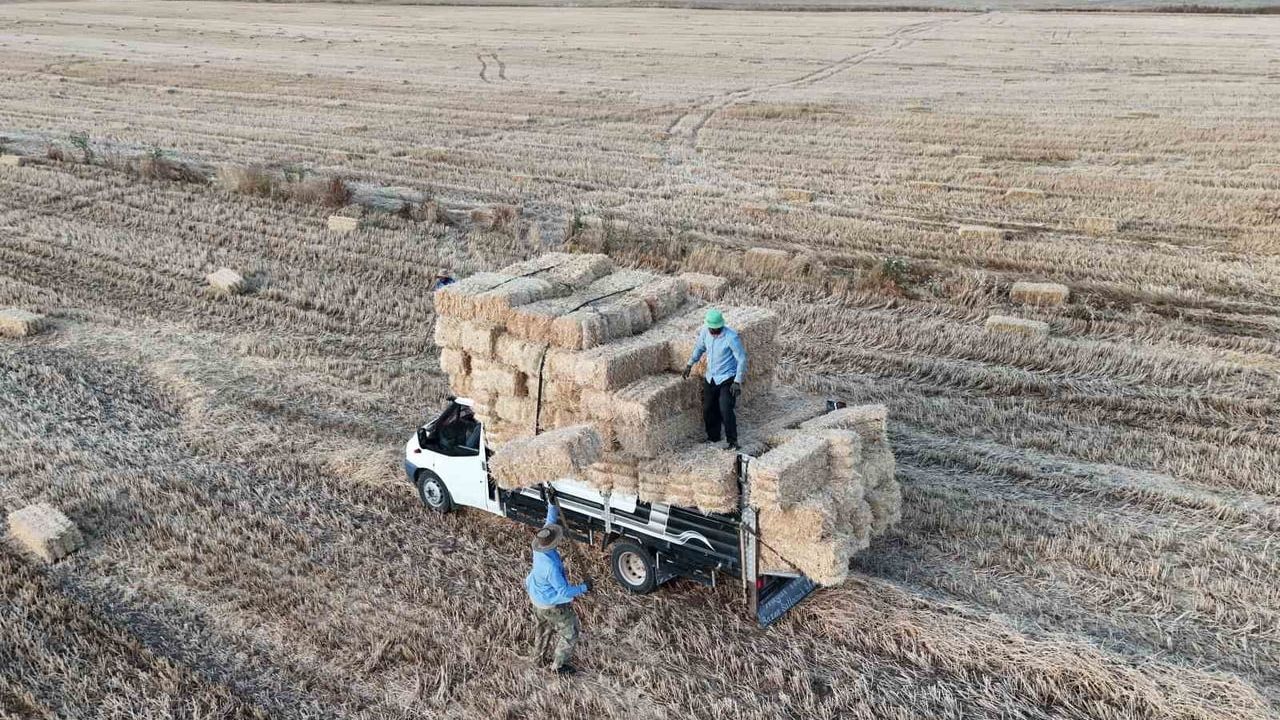 Hasat sonrası balya mesaisi Yozgat'ta başladı: günlük kazanç 7 bin lirayı buluyor