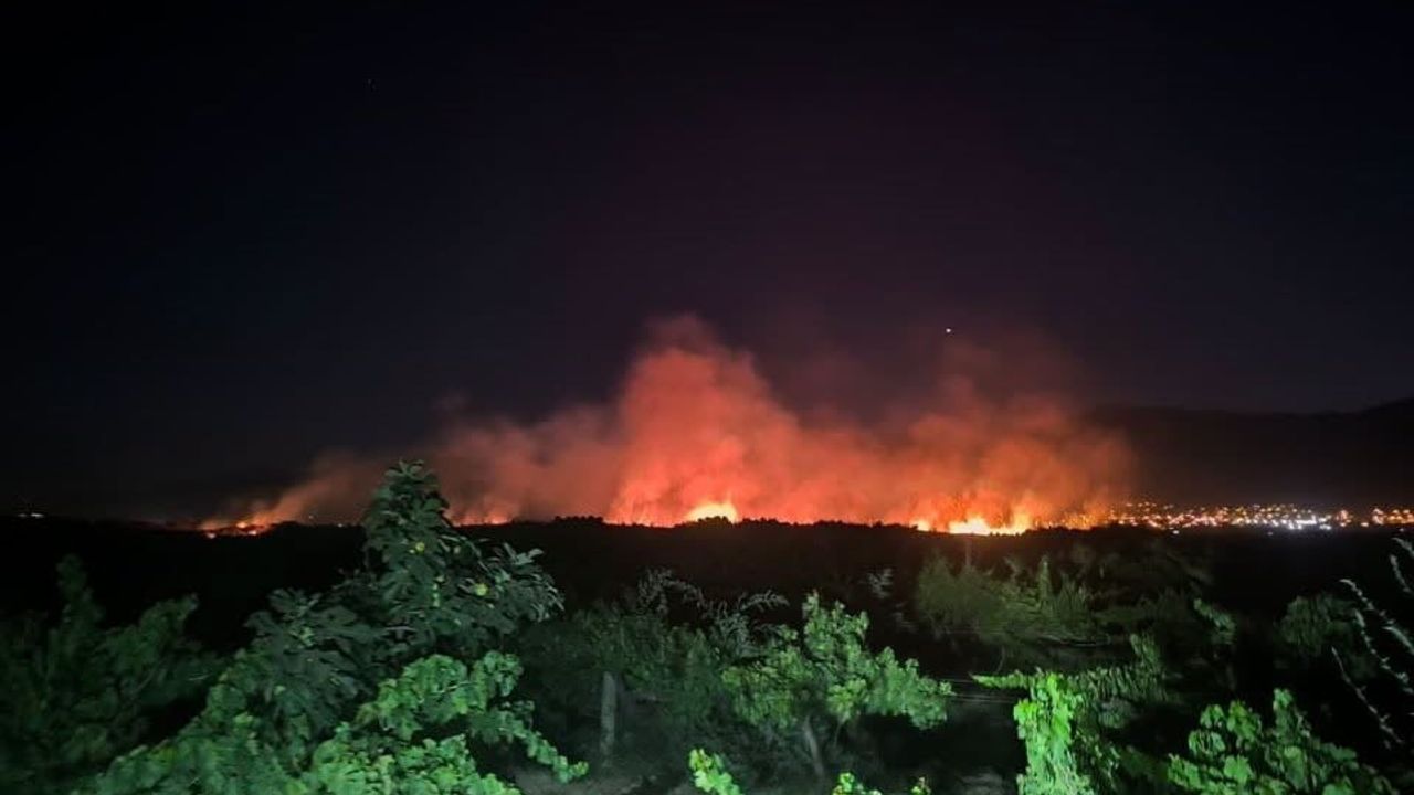 Hassa'da otluk yangını itfaiyenin çabasıyla kısa sürede söndürüldü