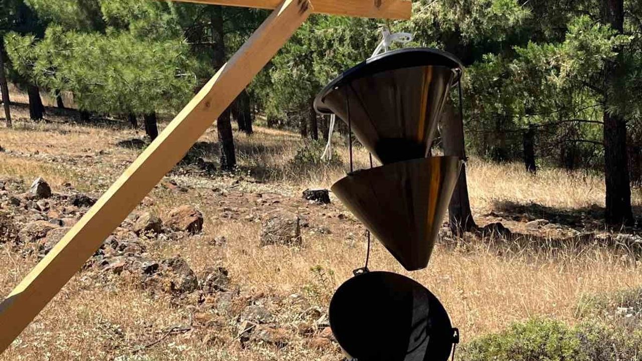 Hassa Orman İşletme Şefliğinden tuzaklara zarar vermeyin uyarısı