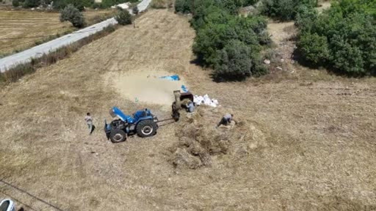 Hatay'da buğday hasadında patozla ayrıştırma sıcağa rağmen sürüyor