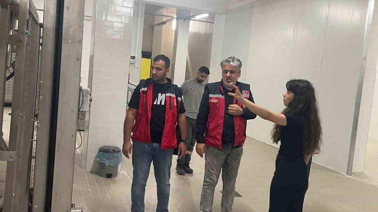 Hatay'da evcil hayvan yaş mama üretim tesisi denetlendi