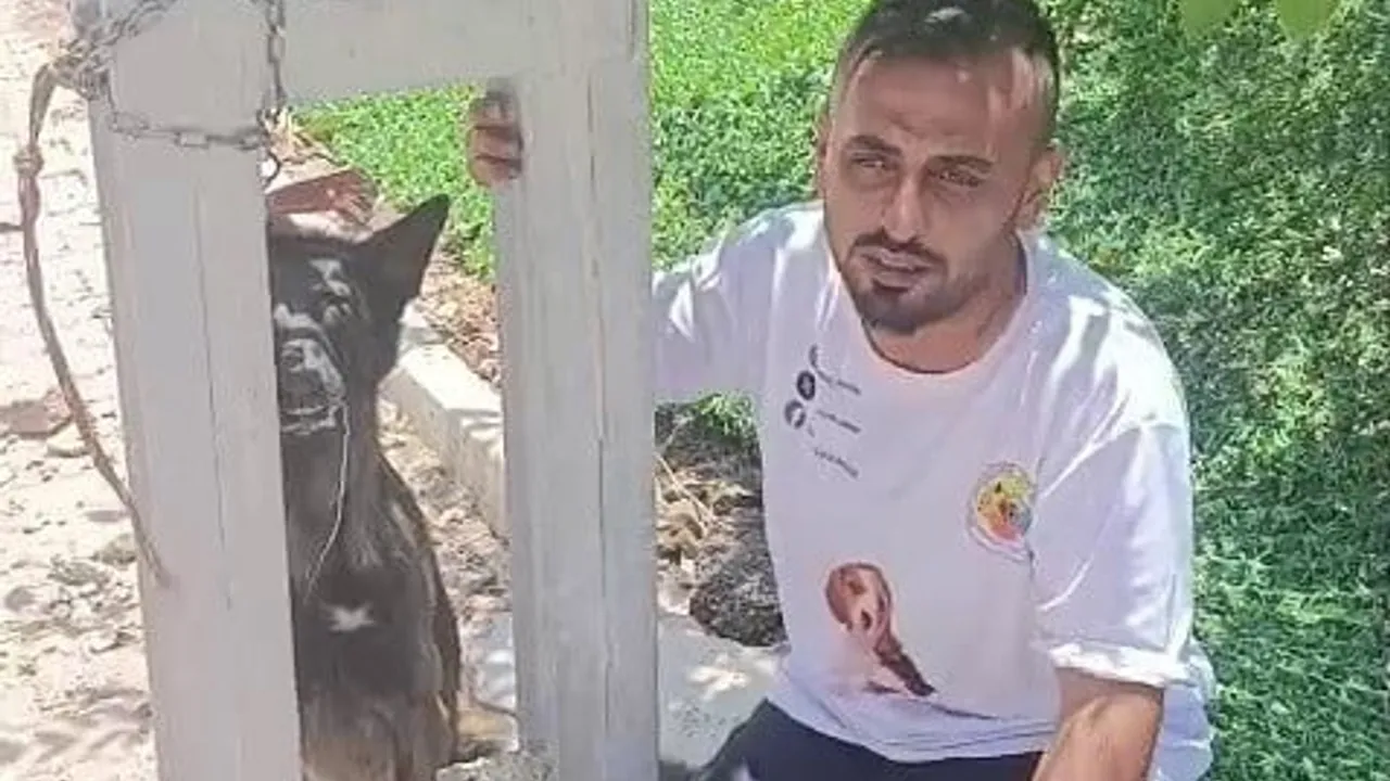 Hatay'da sahipli Belçika kurdu elektrik direğine asılı bulunarak telef oldu