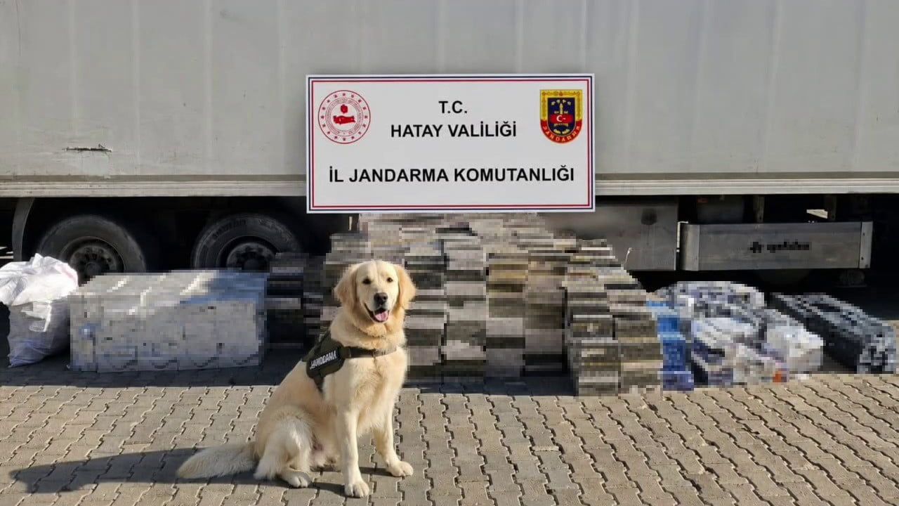 Hatay'da tır dorsesinde 3 bin karton bandrolsüz sigara ele geçirildi