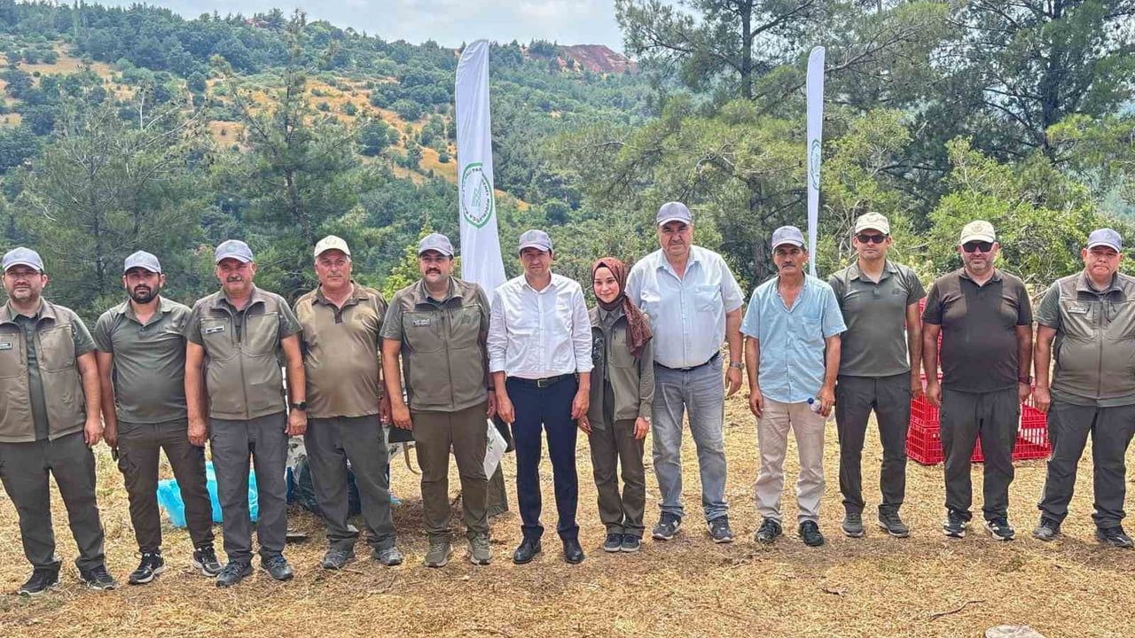 Havran’da keklikler doğal yaşam alanlarına salındı