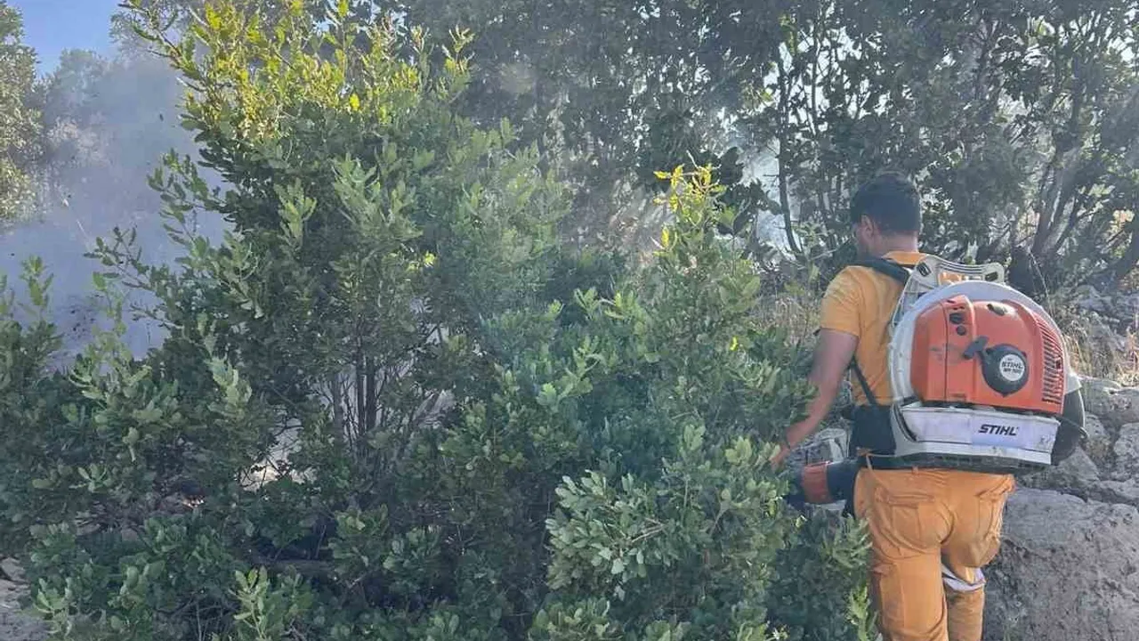 Hazro'da orman yangını: yaklaşık 15 dönüm zarar gördü