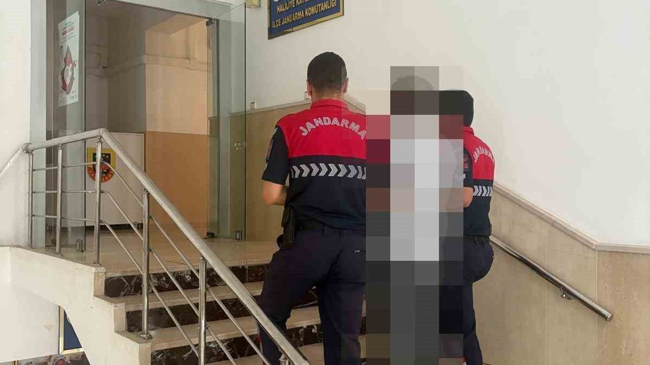 Hırsızlık suçundan aranan şahıs Şanlıurfa'da yakalandı
