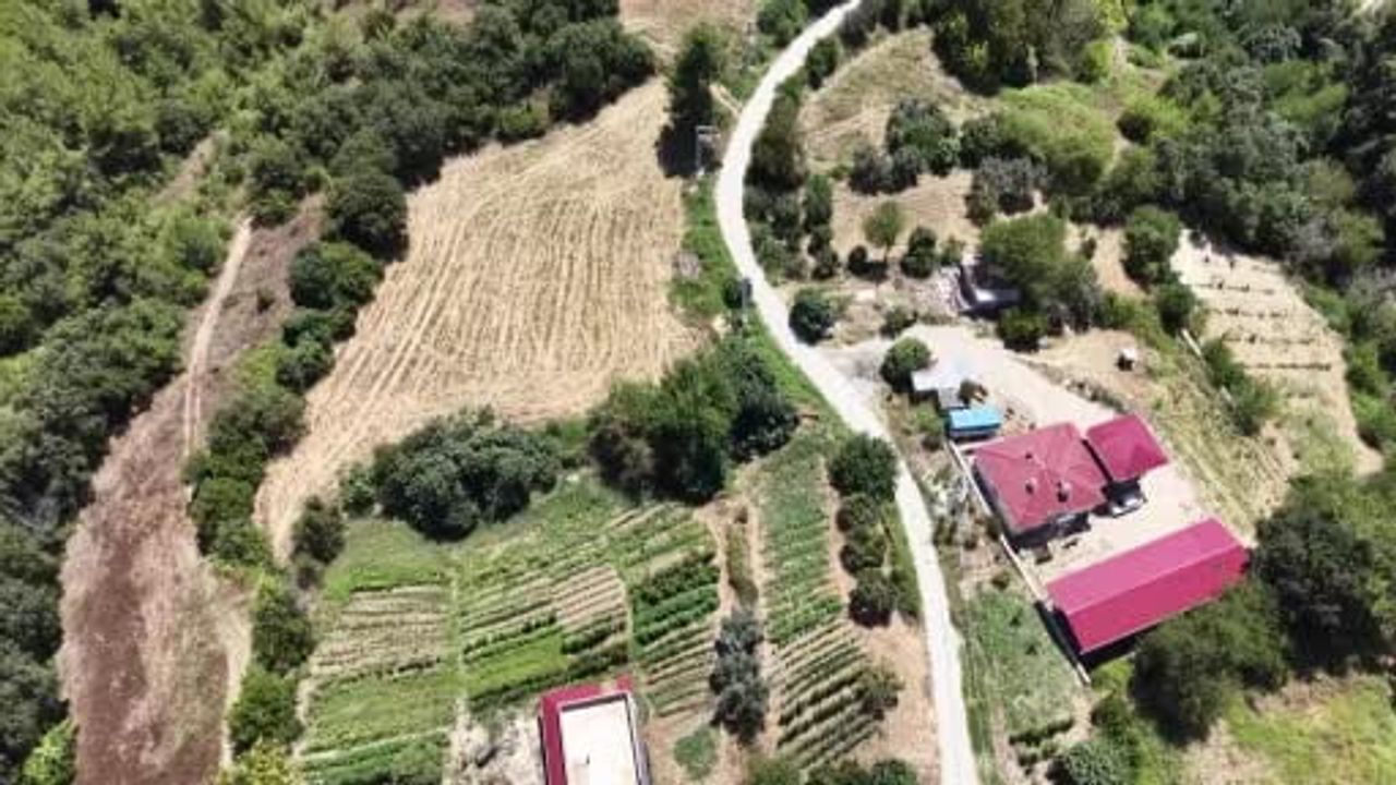 İki afetin ardından Minnetli mahallesi yeniden hayat buldu