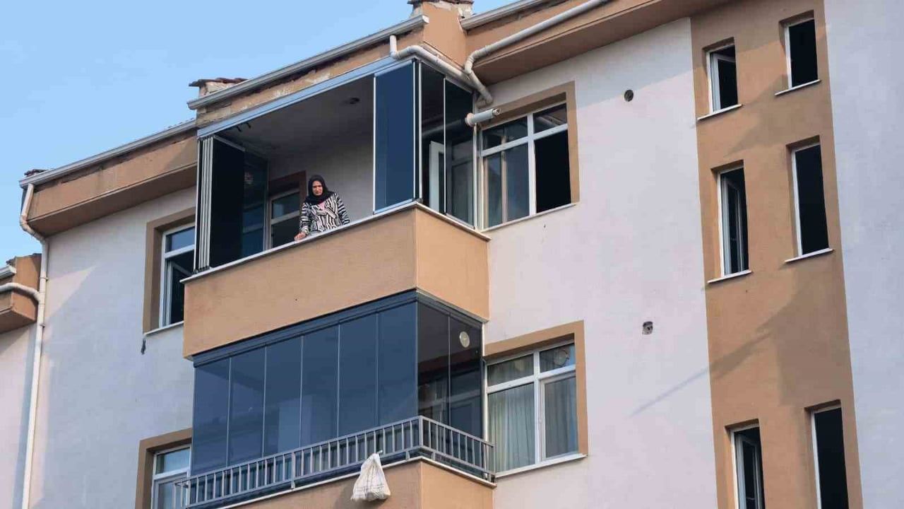 İnegöl'de yangında kurtarılan anne kedi ve iki yavru hayata döndü