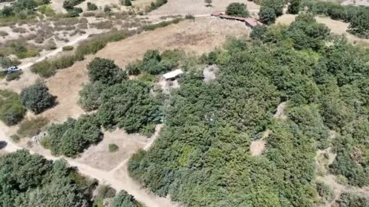 İnkaya mağarasında 9 yılda 35 bine yakın yontma taş bulundu