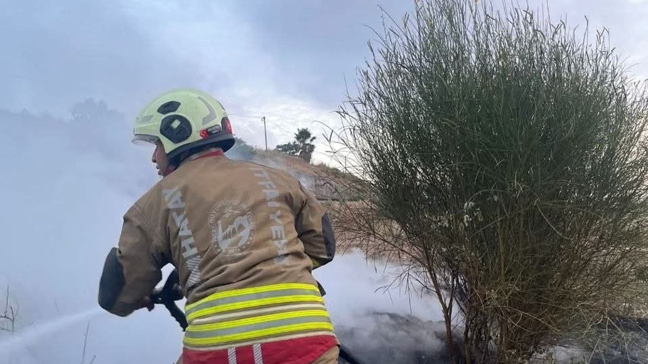 İskenderun'da otluk alan yangını