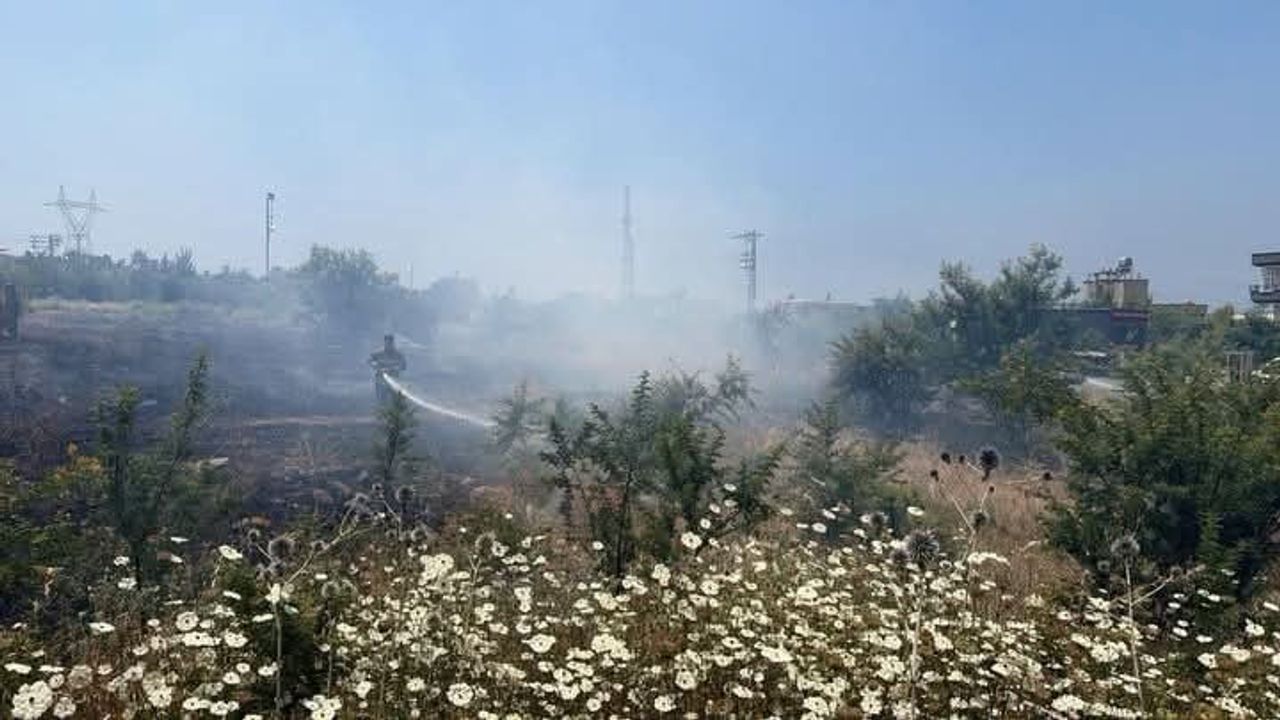 İskenderun'da otluk alanda çıkan yangın kontrol altına alındı