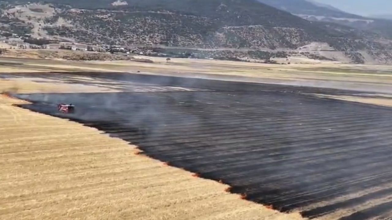 İslahiye'de tarla yangını kontrol altına alındı