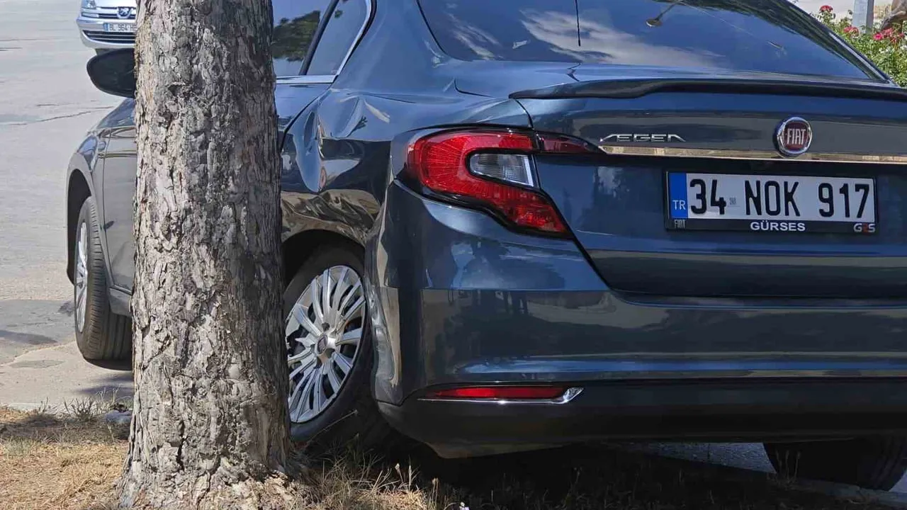 Isparta'da trafik kazasında 1 kişi yaralandı