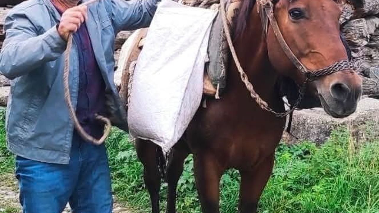 İspir'de psikolojik tedavi gören kişi dere yatağında yaşamını yitirdi