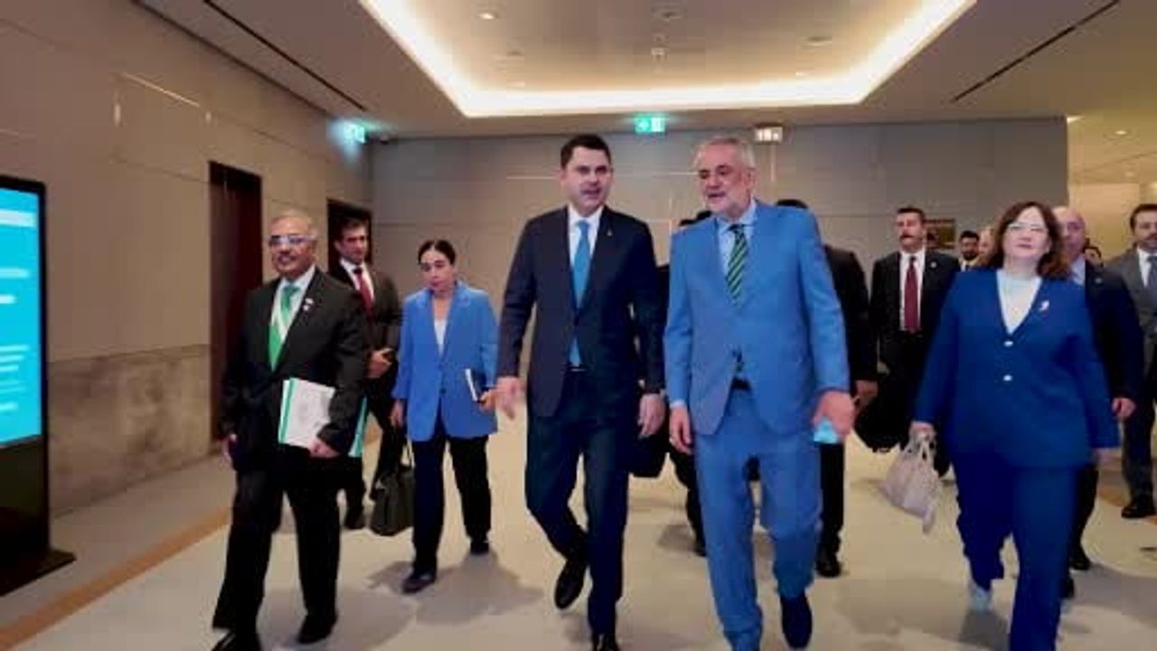 İstanbul'da D-8 çevre bakanları deklarasyonu oy birliğiyle kabul edildi