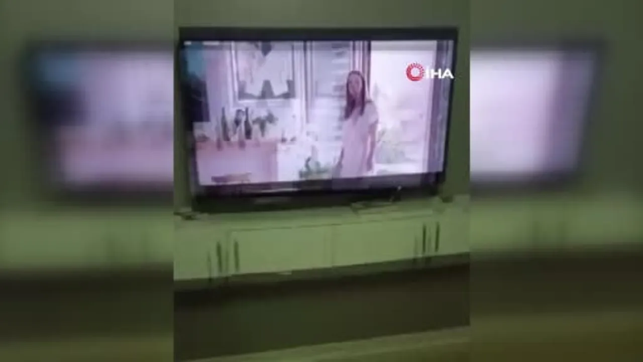 İstanbul’da evlere giren dev çekirgeler vatandaşlarda tedirginlik yarattı