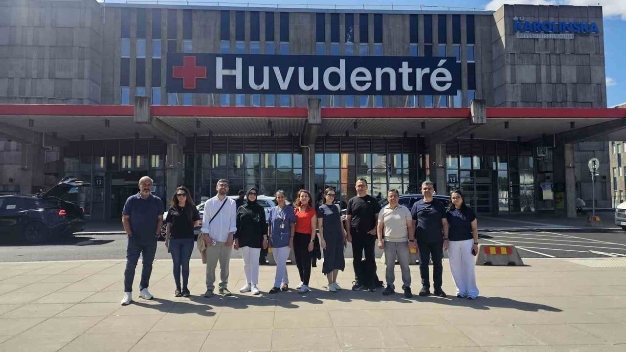 İsveç'ten Sivas'a dijital gebe eğitimi deneyimi