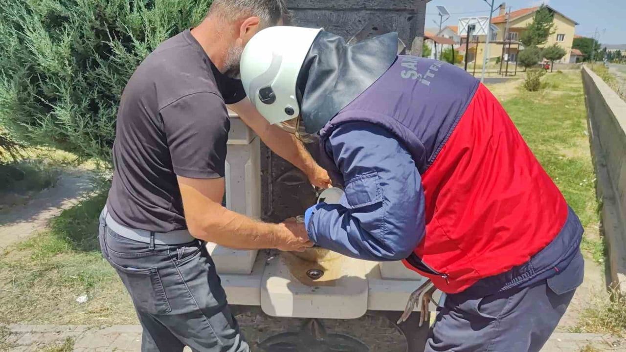 İtfaiye merdiveniyle cami kubbesinden indirilen leylek sıcakla mücadeleyi kazandı