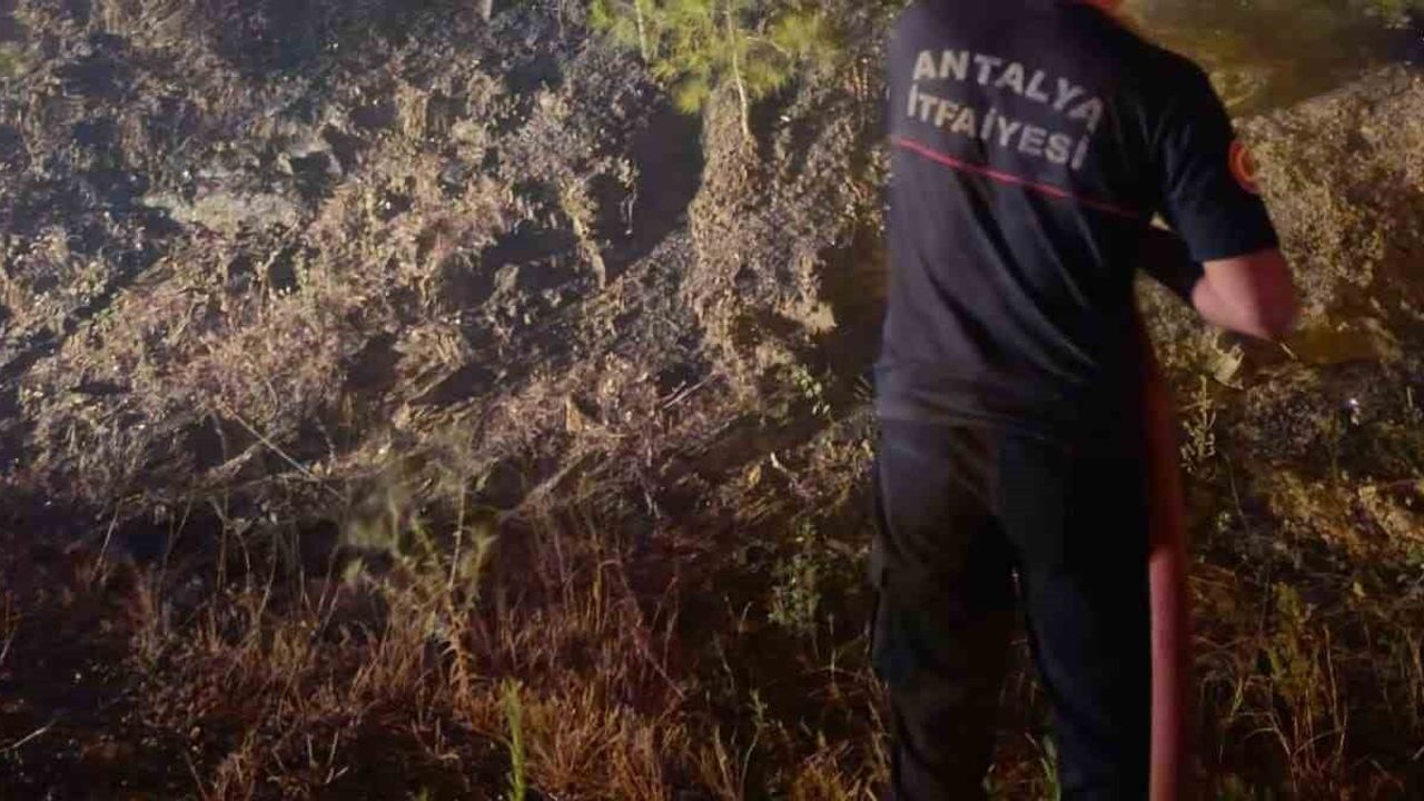 İtfaiye seferberliği Antalya'nın ormanlarında hızlı müdahale sürüyor