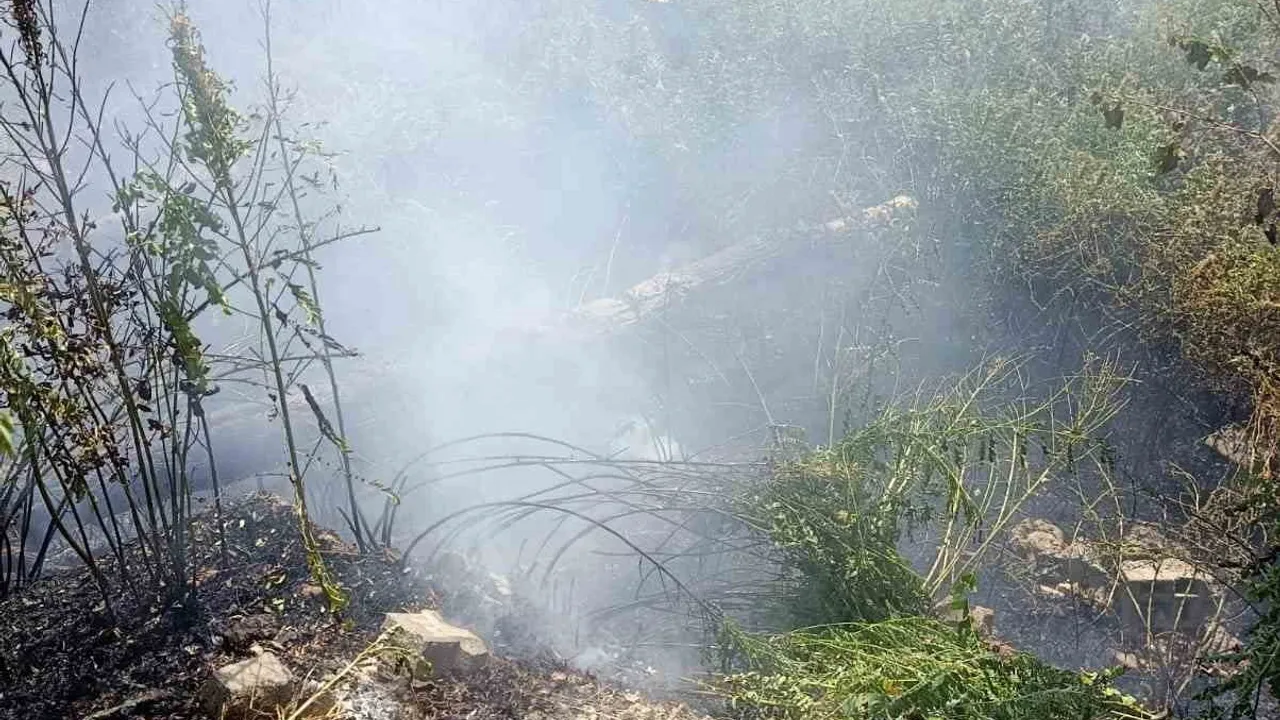 İtfaiyenin hızlı müdahalesiyle Edremit'te ağaçlık alandaki yangın söndürüldü