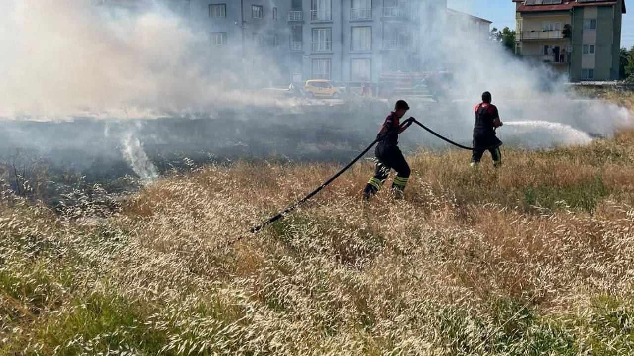 İtfaiyenin hızlı müdahalesiyle rüzgârla büyüyen yangın yerleşime ulaşmadan söndürüldü