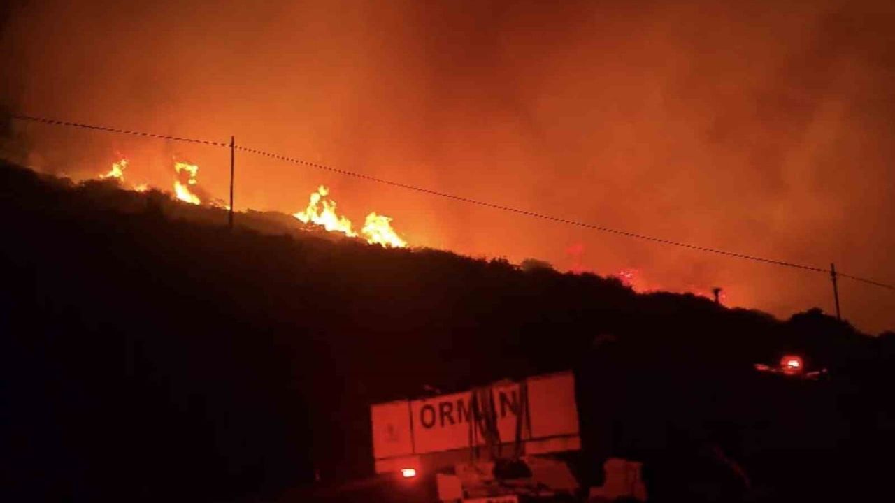 İzmir'de Dikili ilçesindeki makilik yangın kontrol altına alındı