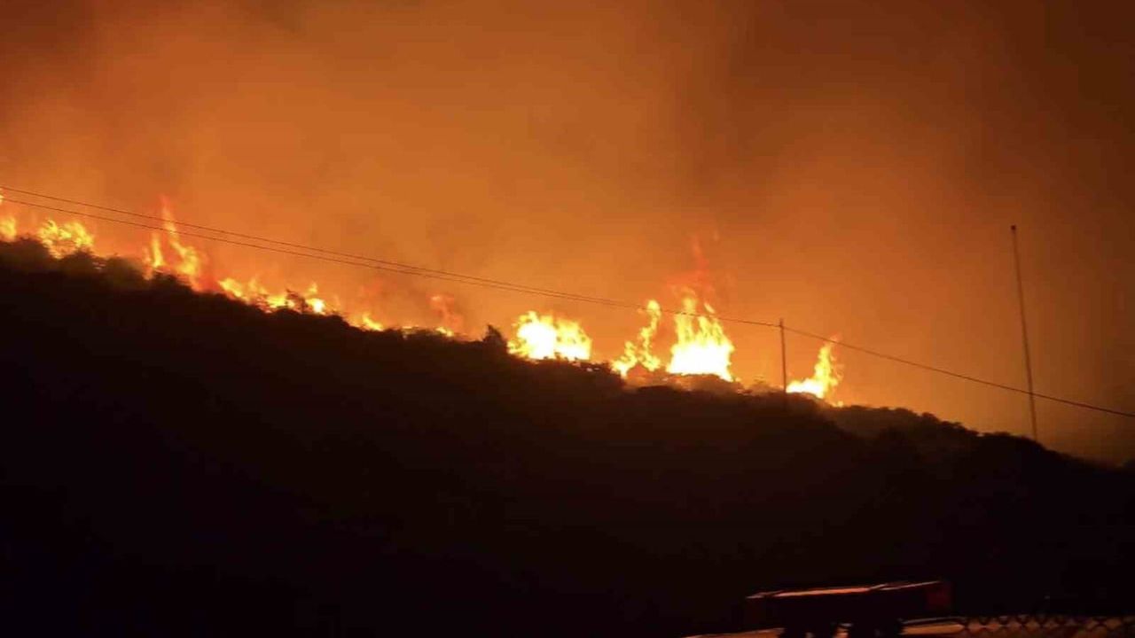 İzmir’de makilik alanda yangın çıktı