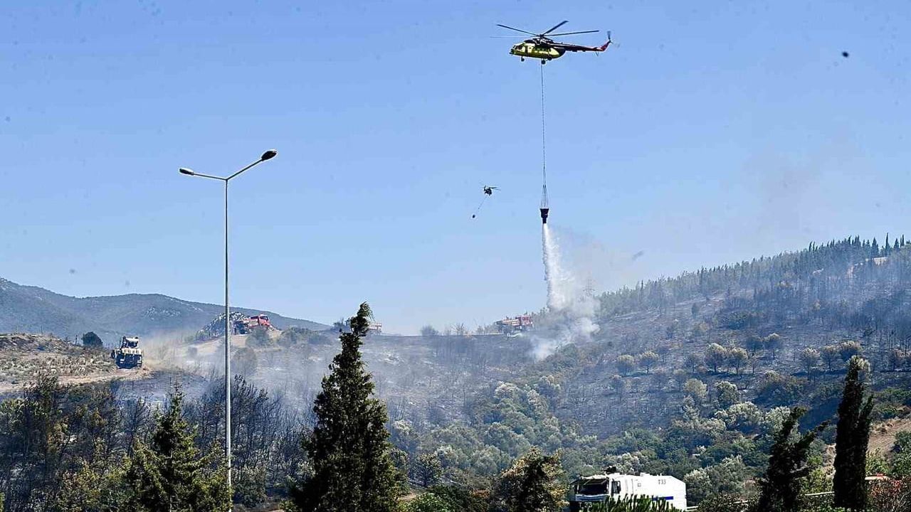 İzmir itfaiyesi bukalemunu hayata döndürdü