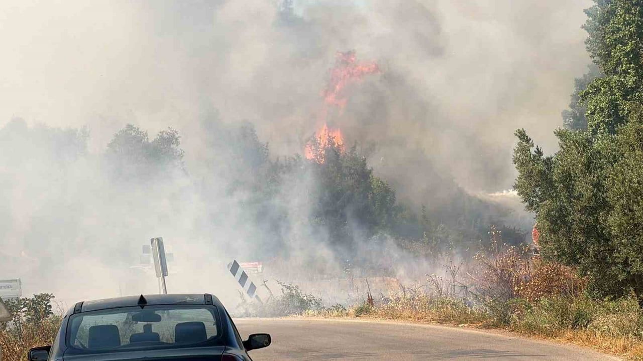İznik'te çöp depolama tesisinde yangın ormana sıçradı