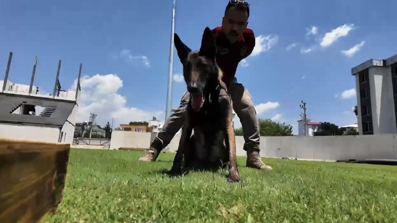 Jardi üçüncü kez ayın en başarılı görev köpeği seçildi