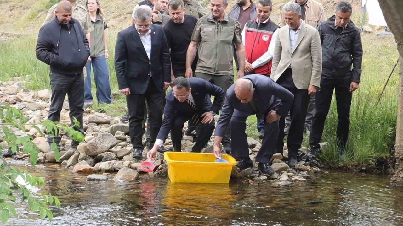 Kabadüz'de doğaya takviye: Çambaşı Deresi'ne 35 bin alabalık salındı