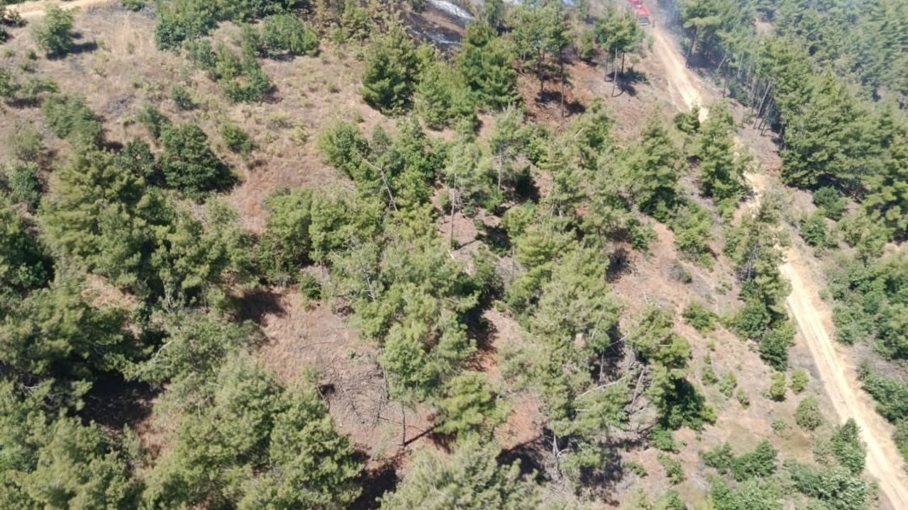 Kahramanmaraş’ta orman yangını söndürüldü