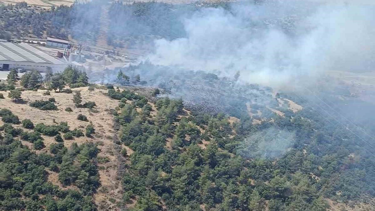 Kahramanmaraş'ta orman yangını söndürüldü