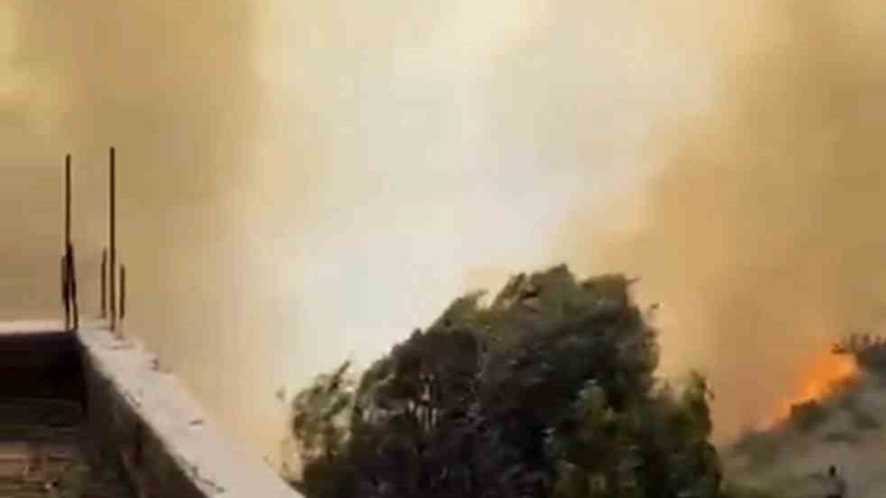 Kahta'da tarihi kalenin yanı başındaki orman yangını itfaiyenin müdahalesiyle kontrol altına alındı