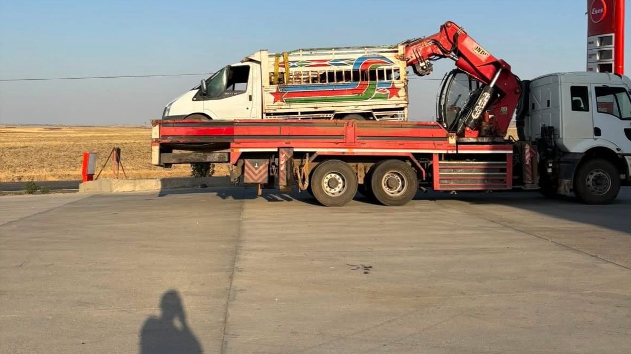 Kamyonetin devrilmesiyle büyükbaşlar yola savruldu, üç kişi hafif yaralandı