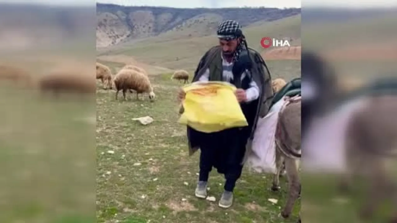 Kangal, çoban gelene kadar kuzuyu koynuna alarak sahip çıktı