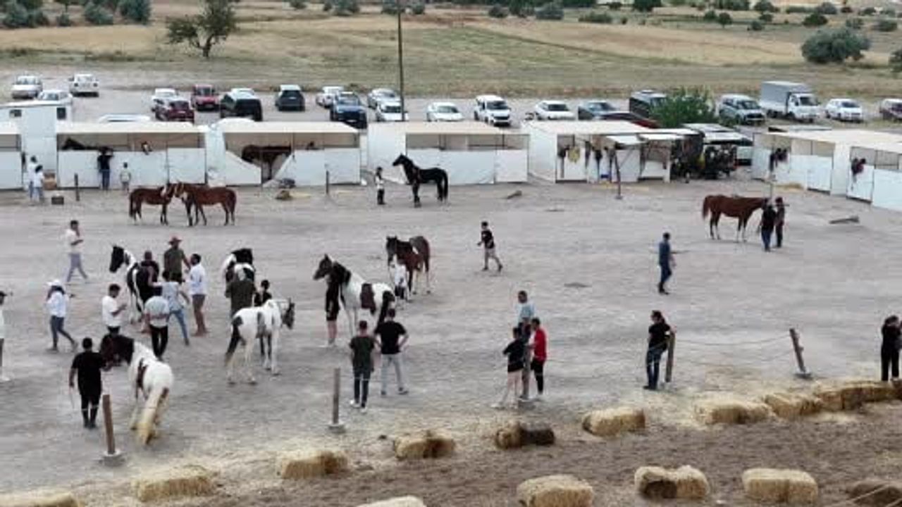 Kapadokya’da ikinci uluslararası at ve atçılık kültürü festivalinde güzellik yarışması yapıldı