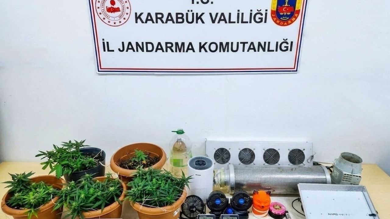 Karabük’te uyuşturucu operasyonu: skunk serası ortaya çıkarıldı