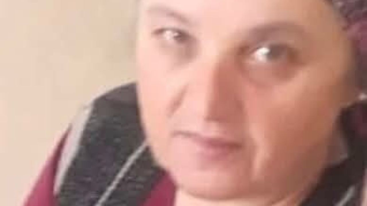 Karadeniz Ereğli'de eşek arısı sokması sonucu bir kadın hayatını kaybetti