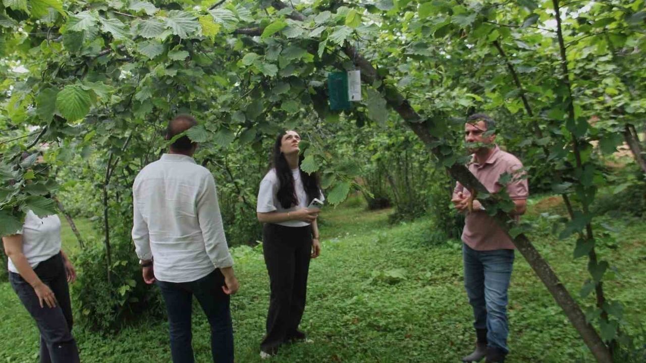 Karadeniz havzası'nda üç ülke ile istilacı türlere karşı teknoloji odaklı tarım iş birliği