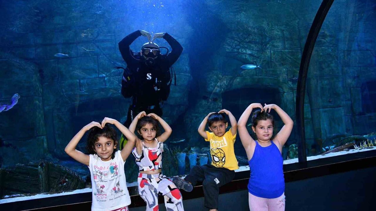 Karadeniz'in yeni tematik rotası tünel akvaryum ve kuş parkı